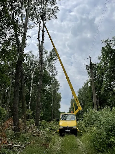 ONTOP - wycinka drzew, podnośnik koszowy, koparka Stargard